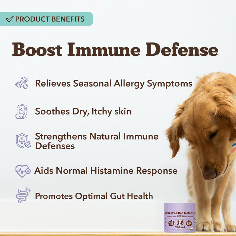 Natural Dog Company Allergy & Itch Defense Chews – Supports Seasonal Allergy, Itch, Skin, Coat & Immune Health, Gut Health with Probiotics, Colostrum & Salmon Oil, Grain-Free Dog Supplement, 90 ct 90 Count