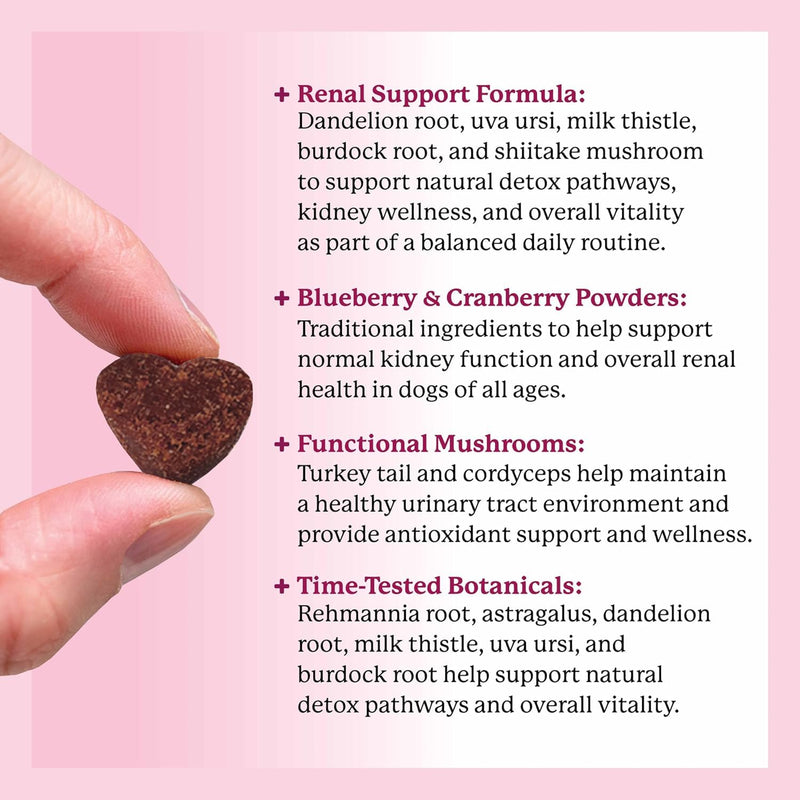 Dr. Harvey’s Kidney Support Soft Chews for Dogs, Renal & Urinary Tract Health Supplement with Turkey Tail Mushroom, 90 Chews
