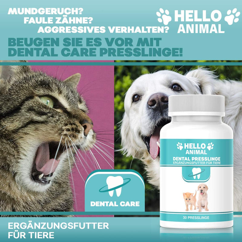 NEW: HelloAnimal DENTAL pellets for dogs and cats - tartar remover also for gaps - teeth cleaning and dental care - for bad breath dental treats - BeesActive Australia
