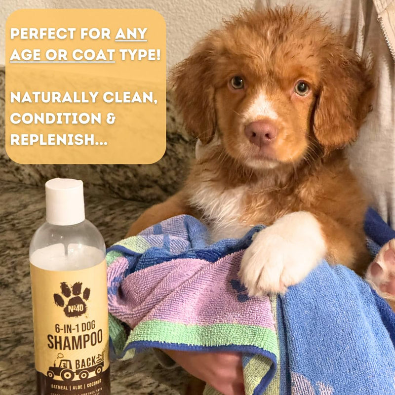 Natural Pet Shampoo - No. 40 Premium 6 in 1 Oatmeal Shampoo For Dogs -Moisturize, Deodorize & Soothe Sensitive Skin for Itchy, Smelly Dogs - Coconut, Aloe & Almond Oil Dog Wash & Pet Care - BeesActive Australia