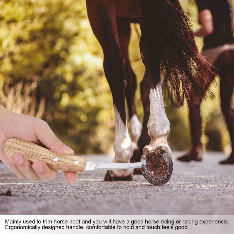 Hoof Knife Hoof Knife For Horses Horse Hoof Trimmers Hoof Trimmer Hoof Pick Hoof Knife Goat Hoof Trimmers Hoof Picks For Horses,Hoof Knife Straight Blade Left Right Handed Trimming Tool for Cattle - BeesActive Australia