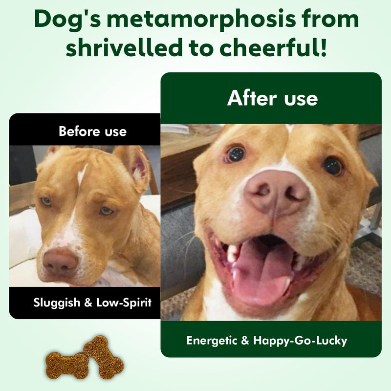 NMN Supplement for Dogs NAD+ Booster - Anti-Aging & Longevity Soft Chews for Senior Dogs with Resveratrol, CoQ10, Glucosamine & Omega-3-3-in-1 Cellular Energy, Joint & Skin Support Bacon 90Ct