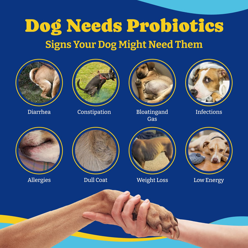 Probiotics for Dogs - Dog Probiotics for Digestive Health + Grass Burn Spot Chews for Dogs, 180 Soft Chews Eachs, Duck & Pear Flavor