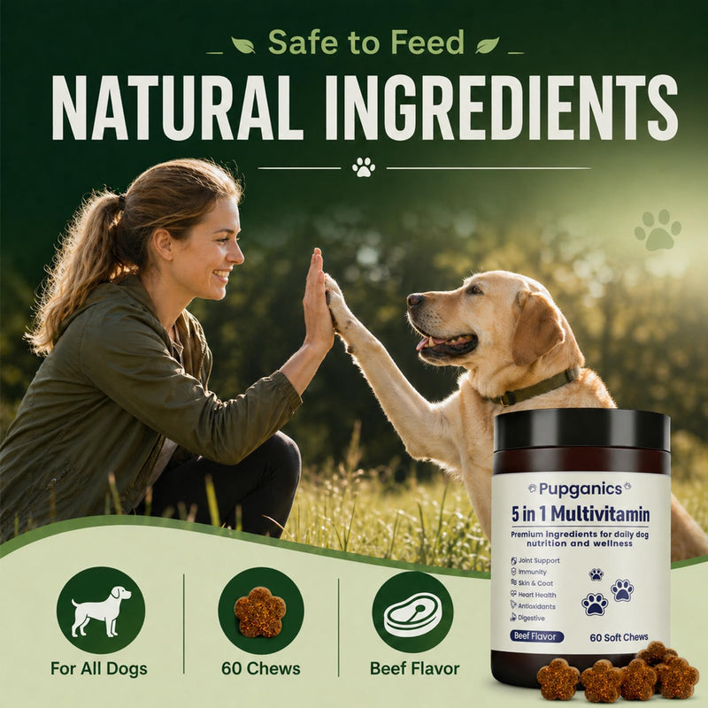 Pupganics Multivitamin Daily Soft Chews for Dog, 5 in 1 multivitamin for Hip & Joint, Heart Health, Skin & Coat, Gut & Immune Support, with Probiotics, Vitamin A/D3/E, Beef Flavor, 60 Chews (1)