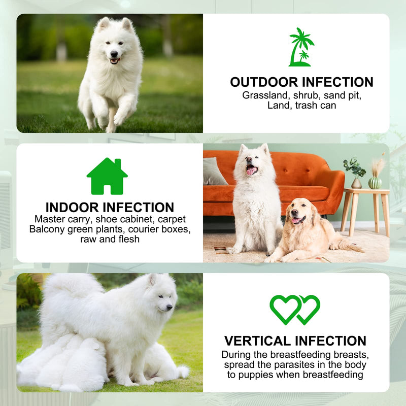 Flea and Tick Prevention for Dogs, Chews, 150 Chews, Natural Flea and Tick Supplement for Dogs, Chews - BeesActive Australia