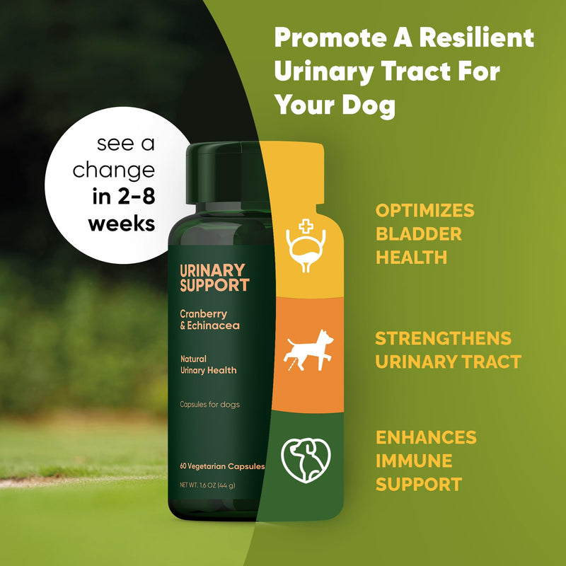 Urinary Support - Echinacea and Cranberry Supplement for Dogs - Dog UTI Prevention - 60/ct - BeesActive Australia