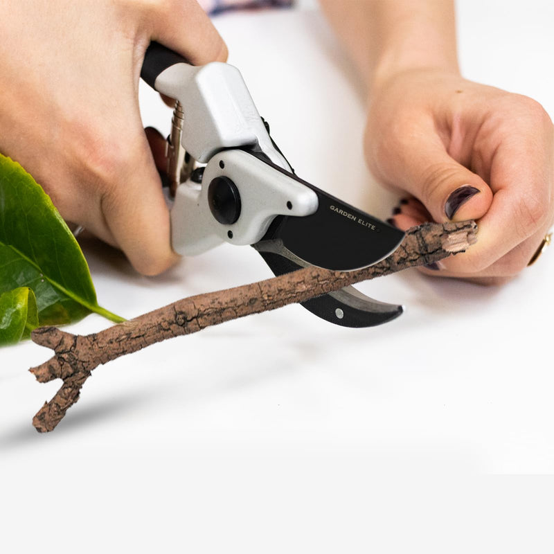 Razor Sharp Bypass Pruning Shears - Lifetime Replacement - Free Extra Blade, Spring & eBook - Japanese Steel - Premium Hand Pruners - Garden Shears - Garden Clippers - Secateurs with Ergonomic Handles SK5 steel, Aluminium, Teflon coating, Rubber Handle - BeesActive Australia
