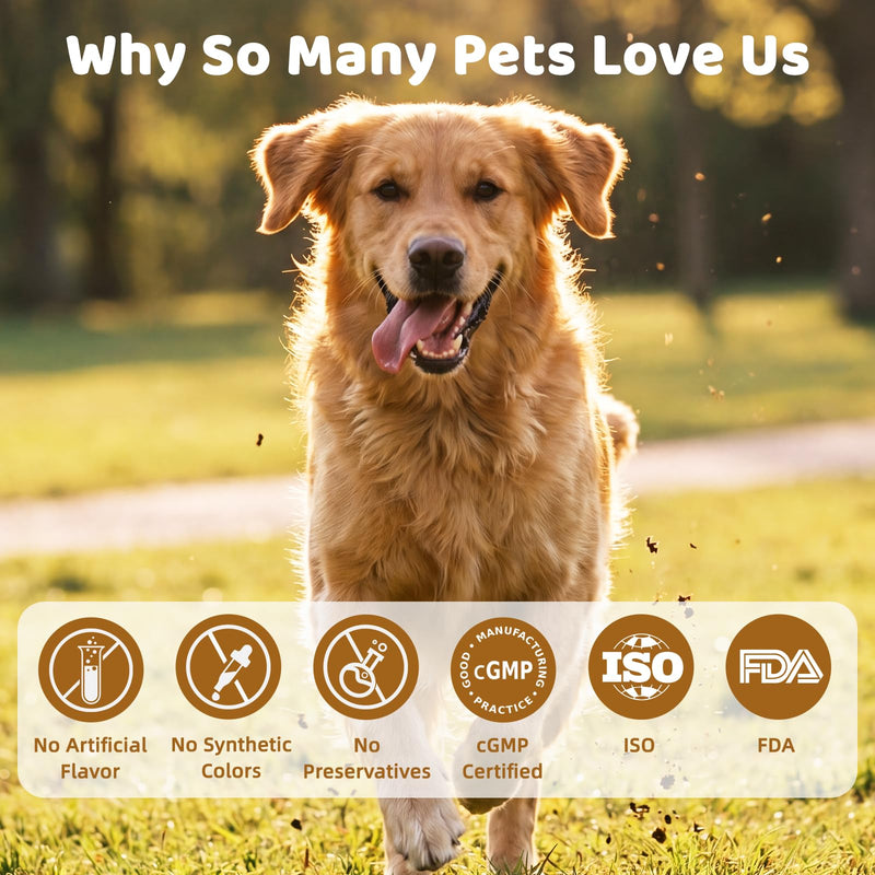 Glucosamine for Dogs, Hip & Joint Support Soft Chews with Chondroitin MSM, Green Lipped Mussel, Omega-3 & Turmeric, Joint Pain Relief,Mobility Support - Senior & Active Dogs, Chicken Flavor,100 Count Yellow