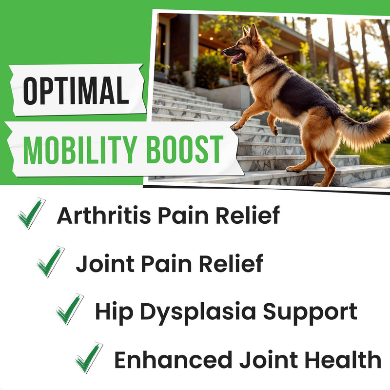 Hemp Treats - Dog Joint Supplement - Mobility Support Chews w/Glucosamine Chondroitin, Turmeric, MSM - Hip & Joint Chews - Joint Pain Relief Treats - 120Ct 120 Count Hemp Hip & Joint