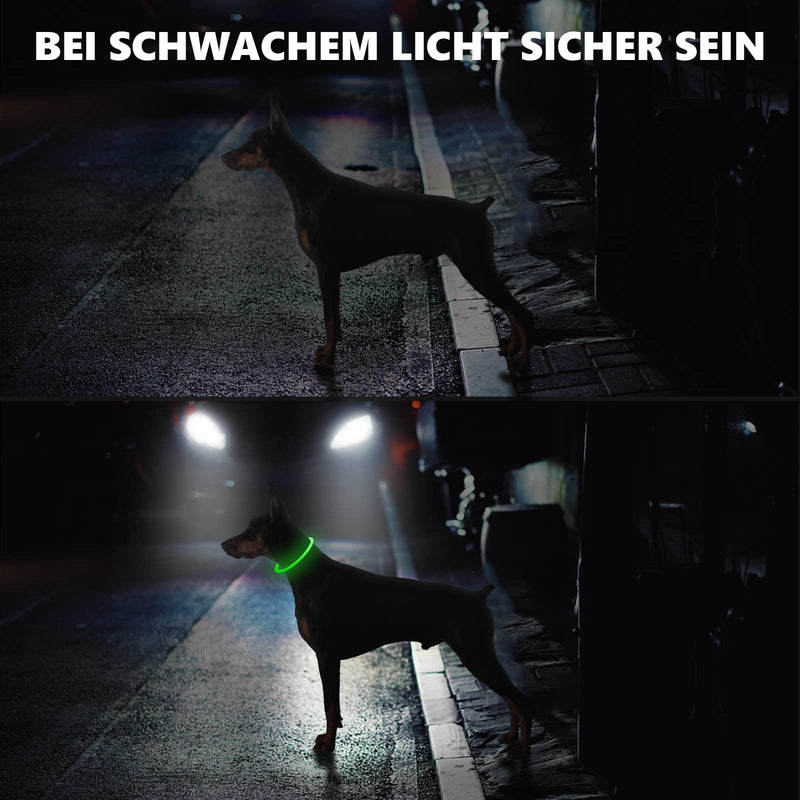 Luminous Dog Collar, Luminous Rechargeable Dog Collar, LED Collar for Dogs, Luminous Dog Collar, Adjustable Size Dog Luminous Collar, Safety for Your Dog at Night (Green2) B-Green - BeesActive Australia