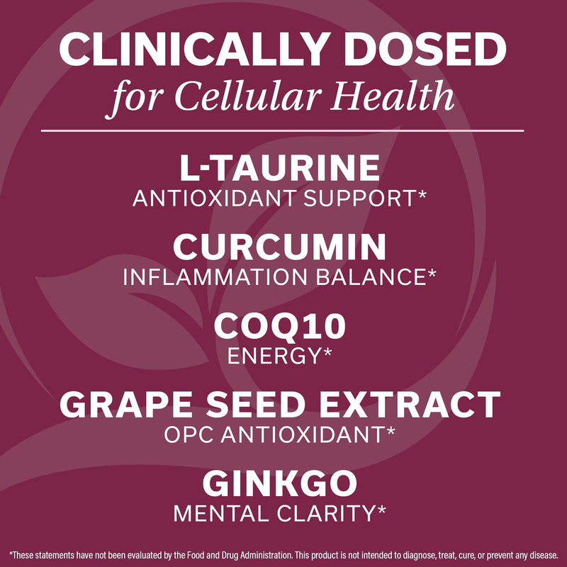 Cellular Defense & Energy Support by Dr. Vogel, MD – Resveratrol & CoQ10 (1 Month Supply) – Curcumin, Ginkgo, Quercetin – Cognitive Clarity & Daily Immune Support