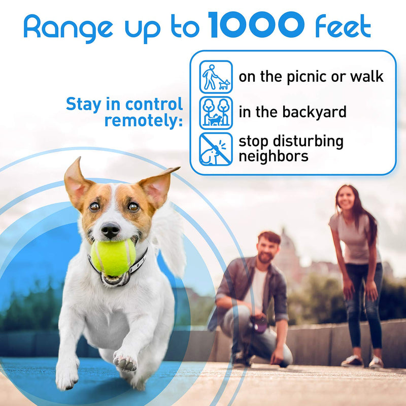 Extra Small Size Dog and Puppy Training Collar with Remote for Small Dogs 5-15lbs and Puppies with Shock - Waterproof and 1000 Ft Range - BeesActive Australia