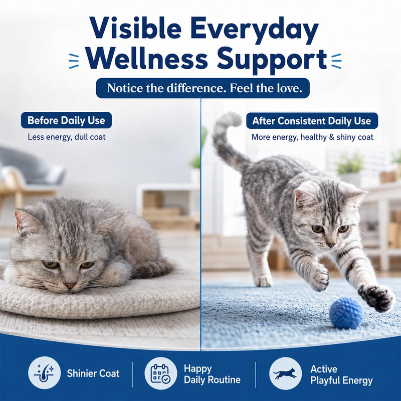 Taurine for Cats Vitamins Treats Snacks –15 in 1 Cat Multivitamin 500 Chews – Supports Immune, Joints, Digestion, Skin & Coat – Daily Healthy Supplement for Cats of All Ages (90-Day Supply)