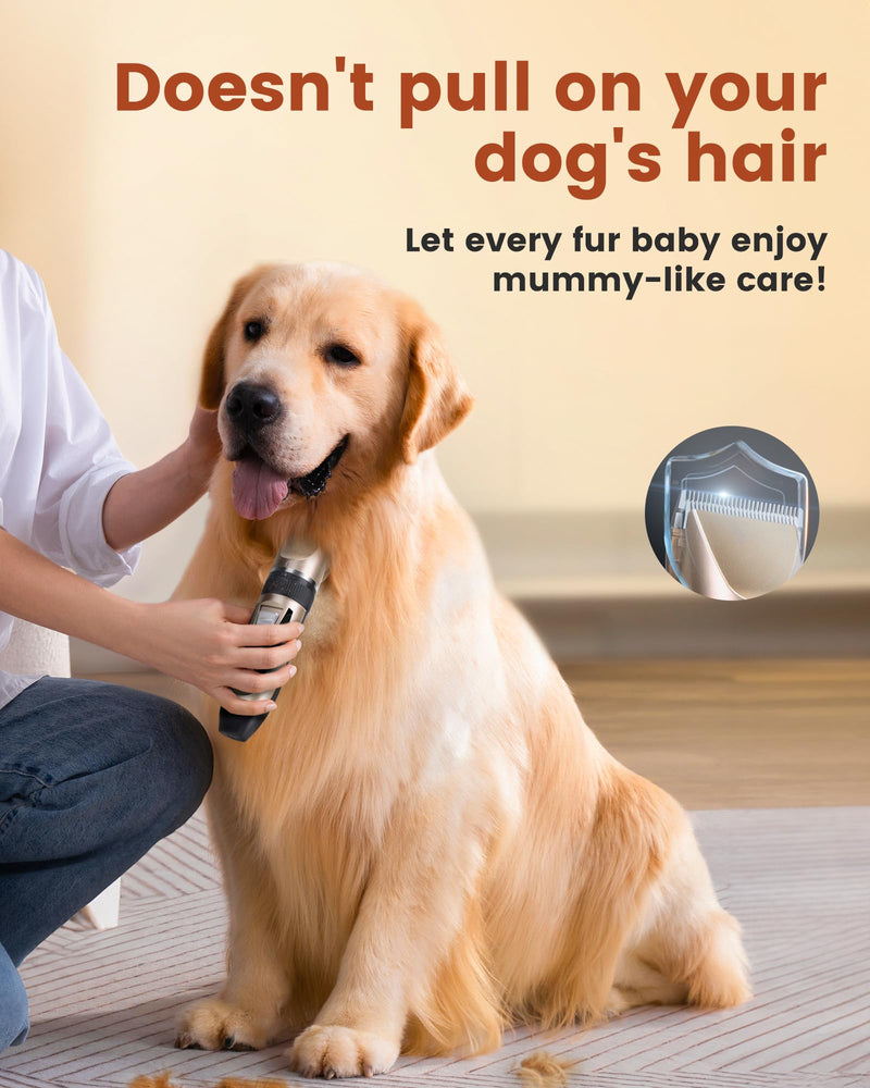 2 in 1 Dog Grooming Kit, Low Noise Rechargeable Dog Clippers for Grooming, Cordless Dog Grooming Clippers and Dog Paw Trimmer, Dog Shavers for Grooming Small Dogs Cats Animals Gold - BeesActive Australia
