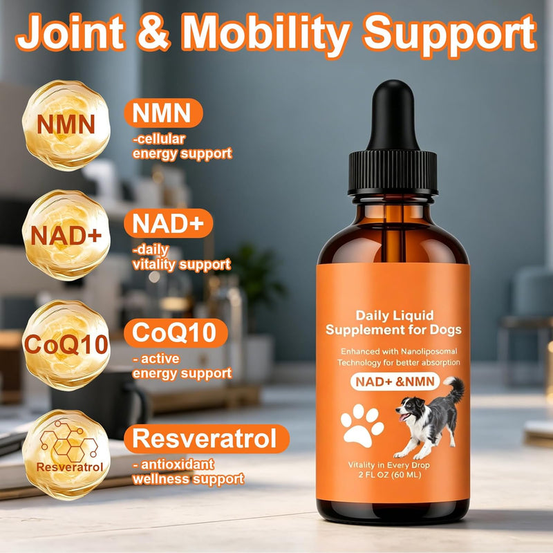 NAD+ for Dogs - Longevity Supplements for Dogs Energy, Vitality, Healthy Aging, Cognitive Health - Senior Dog Supplement with NR, Trans-Resveratrol, Quercetin, Glucosamine HCI - 60ML
