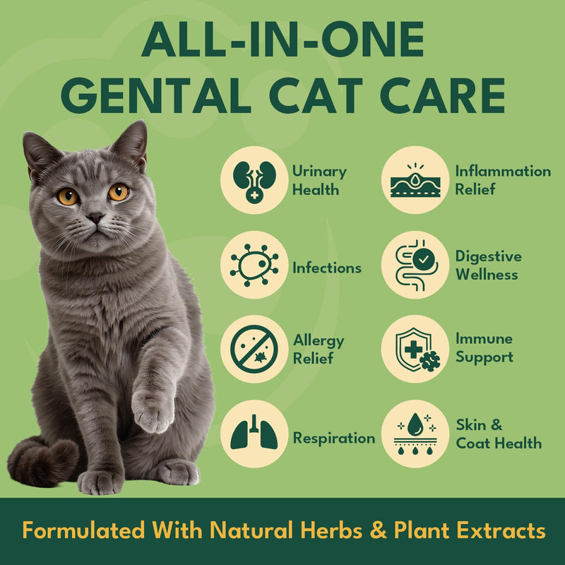 YOTANGO Natural Antibiotics for Cats, Cat Antibiotics for UTI & Itch Support, Immune, Digestive, Allergy, Skin & Coat Support for Cats and Kittens, for All Ages & Breeds (Chicken Flavor-60ml 2 Pack) 2 PCS