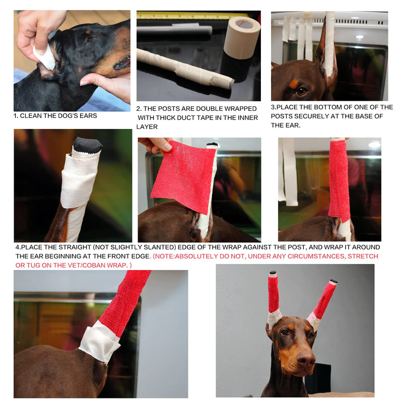 Doberman Dog Ear Posting Kit, Dog Ear Stand Up Support Tool, Dog Ear Tap for Doberman Pinscher Dog - PawsPlanet Australia