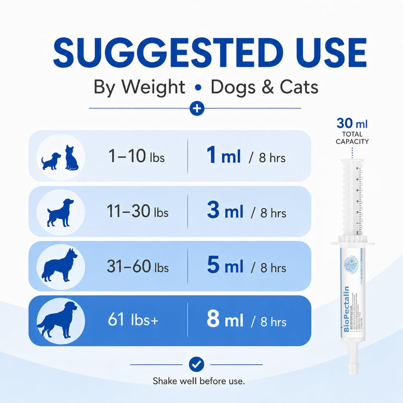 Anti-Diarrheal Paste for Dogs & Cats | Savory Chicken Flavor | Natural Digestive Support with Kaolin, Pectin & Probiotics | Firms Loose Stool & Soothes Upset Stomach | 30ml