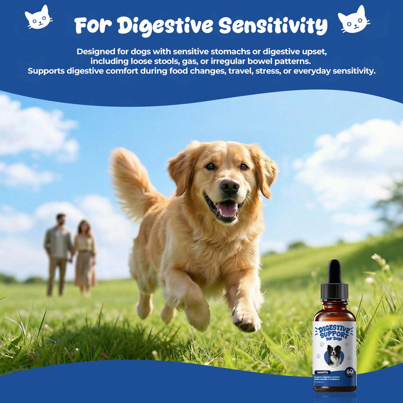 Digestive Support Drops for Dogs, Homeopathic GI Relief for Diarrhea, Constipation & Gas, Liquid Formula for Sensitive Stomachs, 2 fl oz (60 mL)