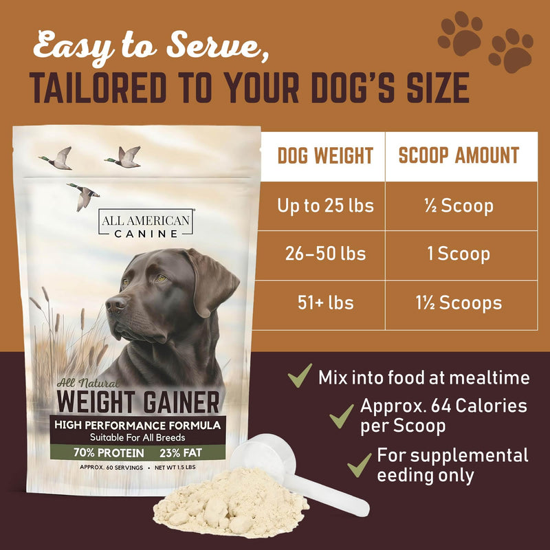 All American Canine Dog Weight Gainer Powder and Chews - High Calorie Food Supplement, Premium Quality Weight Gainer, Mass, Recovery, Appetite Stimulant