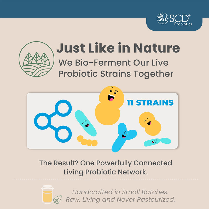 SCD Probiotics Essential Probiotics Gut Health Drink with Prebiotics, 16 oz | All Ages 2+, 11 Live Strains, Acidophilus, Certified Organic, Vegan, Gluten Free, 30 Servings, Double Sealed, Zero Sugar 16 Fl Oz (Pack of 1)