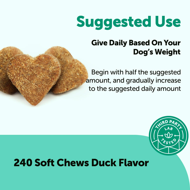 Micro Ingredients Probiotics for Dogs, 240 Soft Chews | Daily Digestive Health Probiotic Chews for Dogs with Prebiotics & Enzymes | Supports Gut Flora & Immune Function* | Non-GMO, Duck Flavor