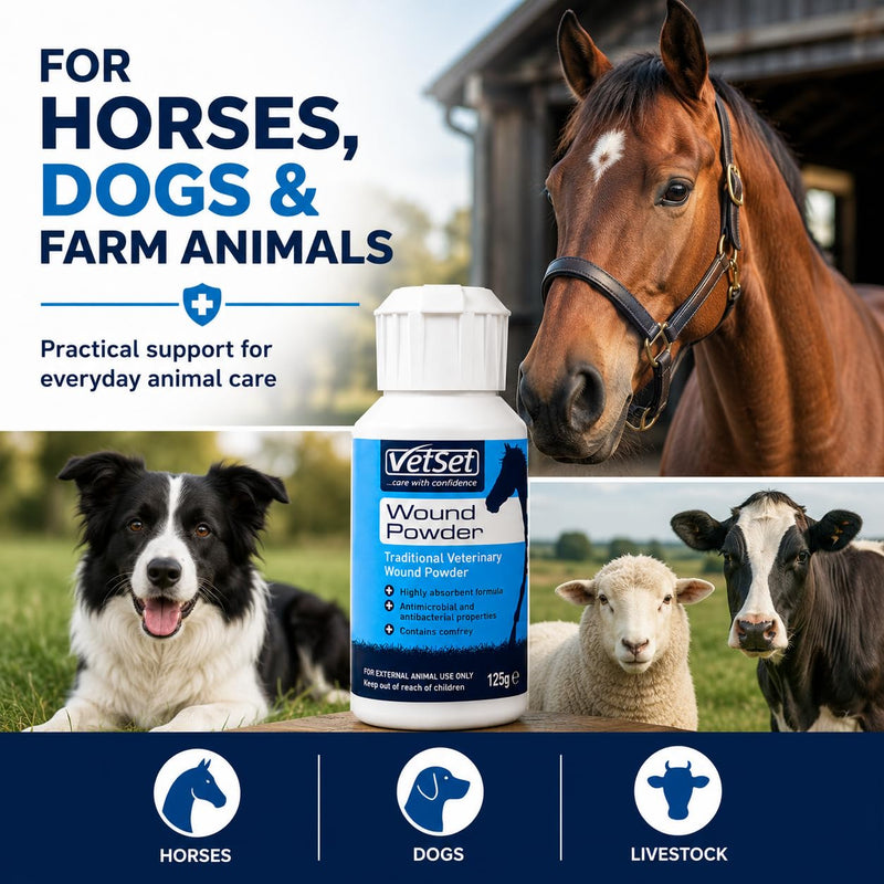 Wound Powder 125g | Traditional Veterinary Wound Powder for Horses, Dogs & Farm Animals | Highly Absorbent Formula with Antimicrobial & Antibacterial Properties (White) White Powder 125g
