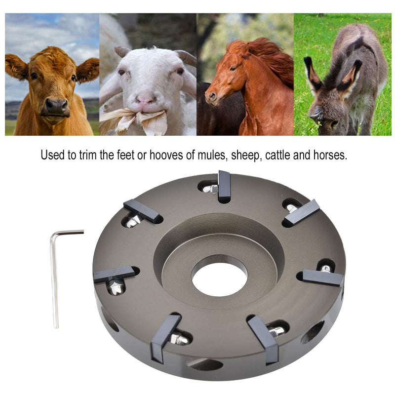 Electric Hoof Tool, Cow Hoof Trimming Disc Plate Electric Hoof Trimming Cutter Tool for Livestock Sheep Cattles Horses Supplies - BeesActive Australia