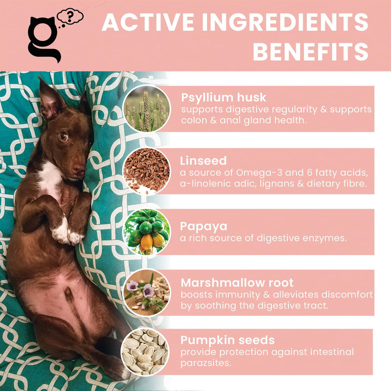 Tummy Guru Tummy Settler for Dogs, 200gm - Natural Dog Health - Pre and ProBiotic - Improve Immunity - Anal Gland Problems - Relieves Upset Stomach, Diarrhoea, Constipation