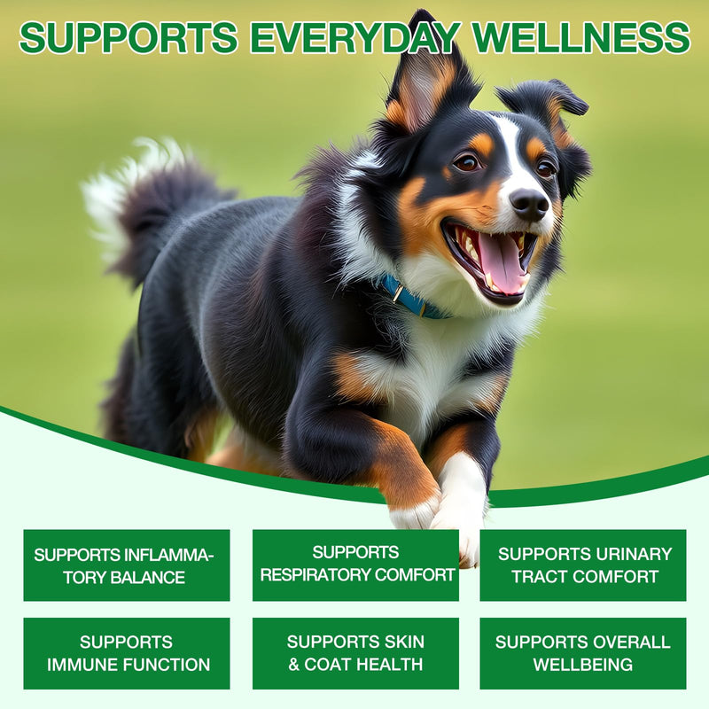 Antibiotics for Dogs - 60ml，Dog Antibiotics，Natural Antibiotics for Dogs，Itchy Skin Relief，Supports Allergy Relief，Dog Antibiotics for Skin Infection，-Bacon Flavor 1Pcs Green