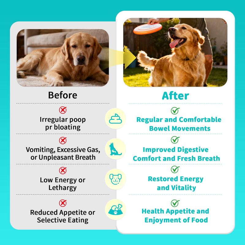 Probiotics for Dogs, Digestive Enzymes & Pumpkin Fiber for Gut Health and Bowel Support, Dog Supplement for Gas Relief & Constipation, 10B CFU with 5 Prebiotics & 5 Enzymes, 90 Count Chicken Flavor 90 Count (Pack of 1)