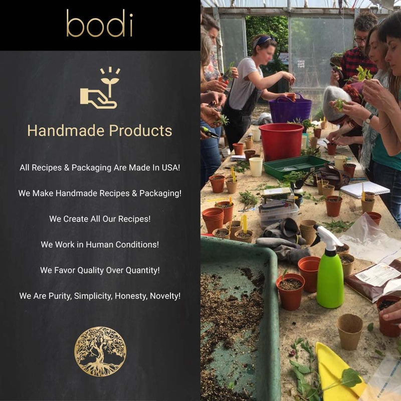 bodi : Goldenseal Root 5:1 Extract Powder | 100% Pure Natural Hand Crafted (4 oz)