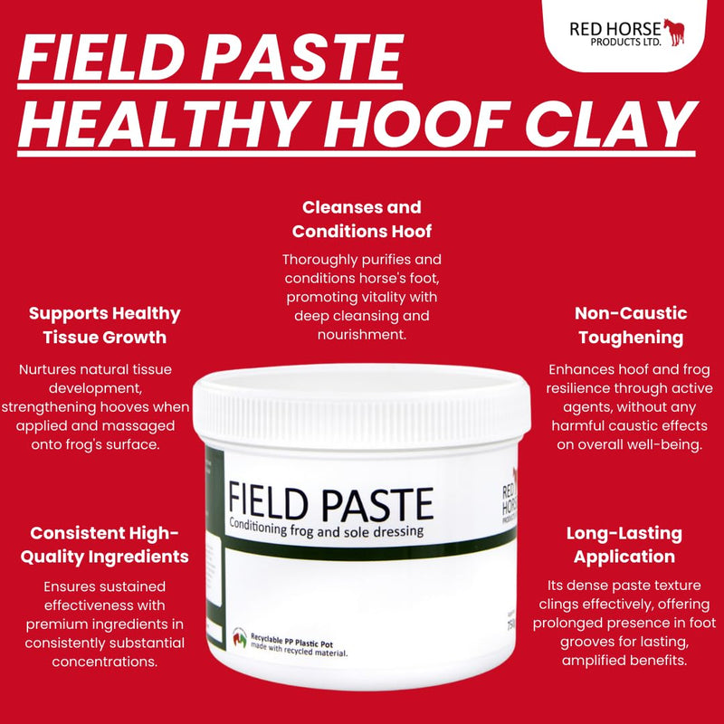 FunDADYUS Red Horse Products LTD. Field Paste Antifungal Sole Dressing 500ml - PawsPlanet Australia