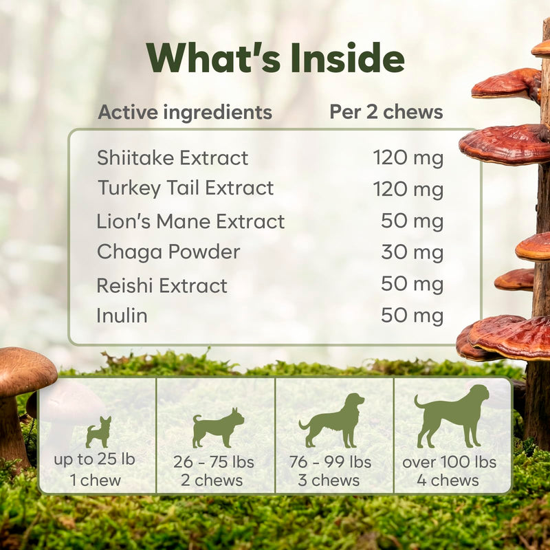Turkey Tail Mushroom for Dogs - 150 Soft Chews - with Turkey Tail, Lion’s Mane, Chaga, Reishi & Shiitake - Immune Support & Cognitive Health Mushroom Supplement for Dogs