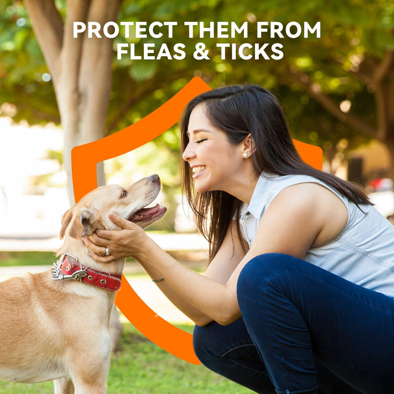 Flea and Tick Prevention for Dogs, Addcool Dog Flea and Tick Treatment, Flea & Tick Control Topical Drops, 3 Doses, Vet-Recommended(45-88 lbs) 3 Count 45-88 lbs