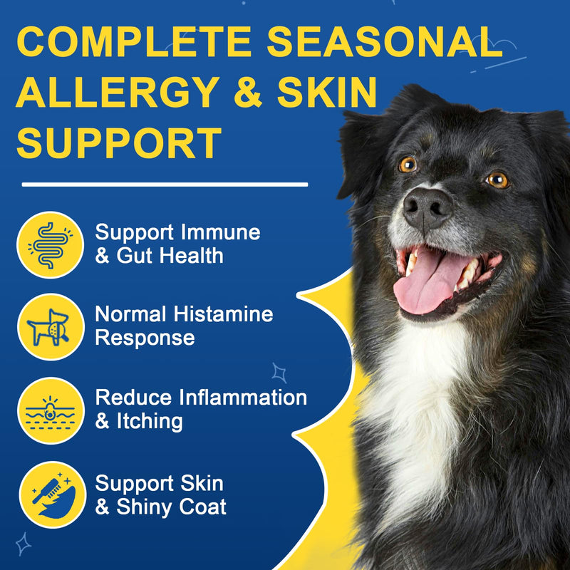 Dog Allergy Relief Chews, Dog Vitamins Multivitamin Powder - PawsPlanet Australia