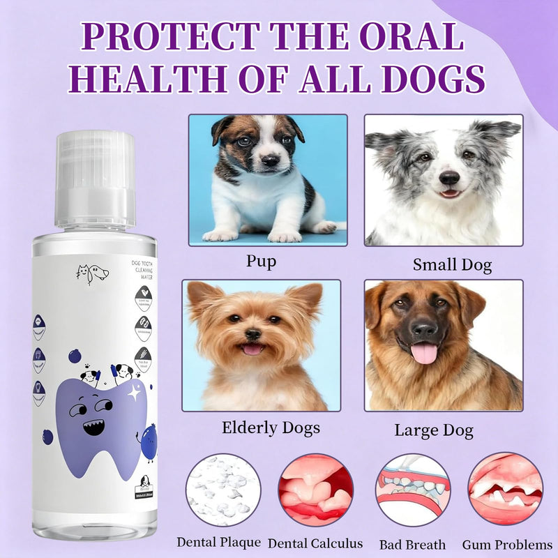 2 PCS PawBright Dental Plus,Pet Oral Care,Natural Flavorless Teeth Cleaning Mouthwash to Fight Tartar,Promote Healthy Gums & Freshen Breath,for all Pet