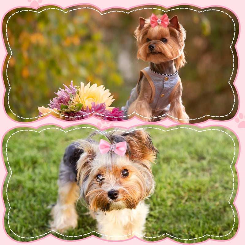 20pcs Dog Hair Bows with Rubber Bands, Handmade Puppy Hair Bows Cute Dog Bow Hair Tie Elastic Pet Puppy Hair Clip Multiple Style Dog Hair Accessories for Yorkie Puppy Pomeranian Dogs - BeesActive Australia