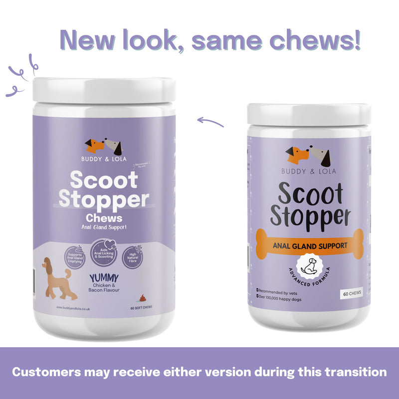 Buddy & Lola Scoot Stopper Anal Gland Chews For Dogs - High Fibre Chews To Stop Scooting and Licking Under Tail with Natural Fibre Ingredients For Dogs Dandelion Root, Pumpkin Powder and Beet Pulp 5060928060024