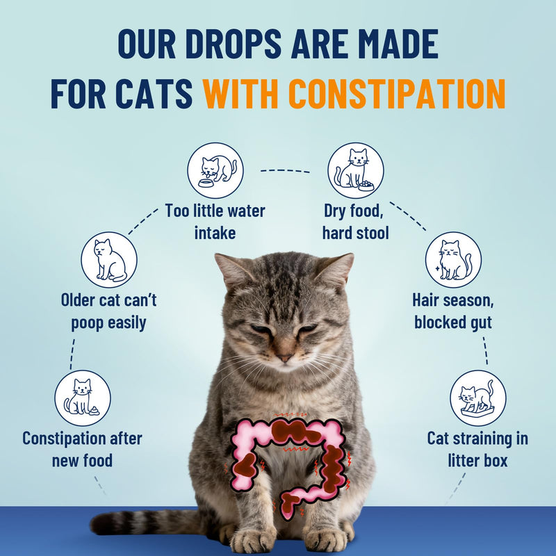 Cat Lysine & Constipation Support Bundle, Liquid Lysine for Cats & Natural Digestive Drops, Immune, Respiratory & Regularity Support, Chicken Flavor, 60 ml Each