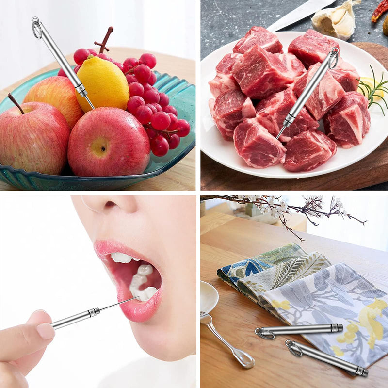Portable Mini Titanium Toothpicks Holder, 2 Pieces Stainless Steel Metal Toothpicks Reusable Toothpick for Home Outdoor 2pcsSilver - BeesActive Australia