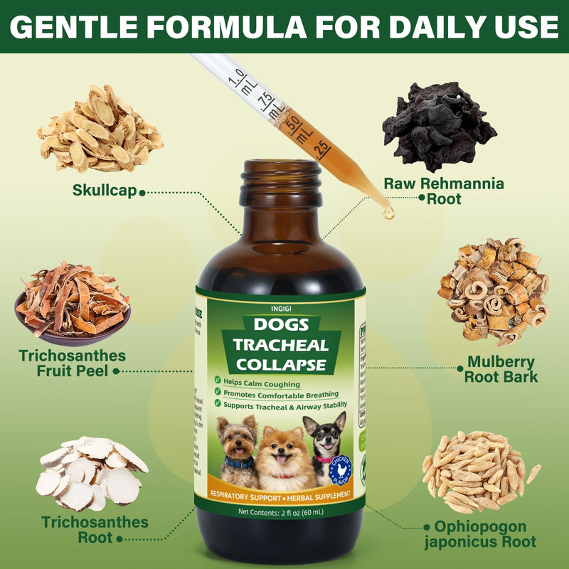 Dogs Tracheal Collapse Relief, Collapsed Trachea Treatment for Dogs, Helps Reduce Dry Cough & Support Easy Breathing, Natural Trachea Supplement, Chicken Flavor - 2 fl oz