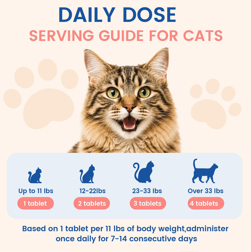 Mange Support for Cats – Supports Hair & Skin Health, Relief for Itchy Skin, Scratching, Scabs & Ears Care, Soothes Patchy Fur, Supports Scabby Cat, Safe for Feral & Stray Cats – 300 Pills