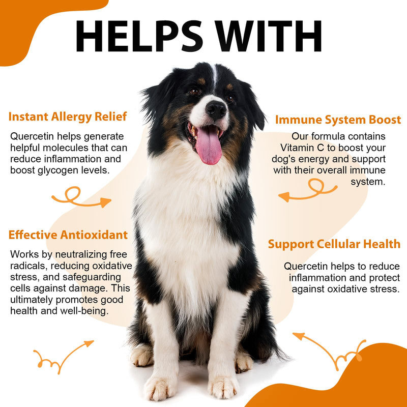 Quercetin for Dogs, Dog Quercetin Liquid Drops Supports Dogs Allergy Relief, Dog Herbal Supplement - Pet SuppliesQuercetin for Dog Itch Remedies - 60 ml / 2 fl.oz - PawsPlanet Australia