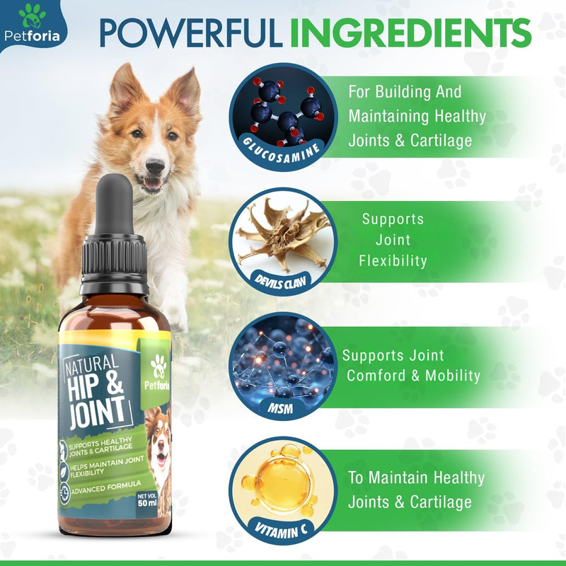 Dogs & Cats Joint and Hip Support Supplement 50ml – Fast Acting Natural Mobility Formula with Glucosamine Vitamin C and Herbal Extracts for Comfort Flexibility and Joint Care Pack of 1