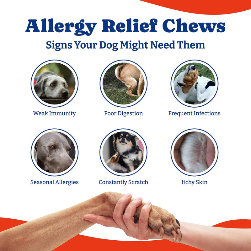 Dog Allergy Relief Chews – 70 Count + Flea Defense Chews 180 Count (1.0 Formula)