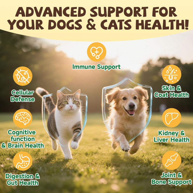Mushroom for Dogs & Cats Lumps & Bumps, Turkey Tail Mushroom for Dog with MSM for Joint Health, 16 in 1 Dog Mushroom Powder with Reishi, Lion’s Mane-Immune, Cognitive, Digestive, Liver Health & Skin