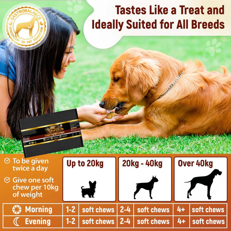 dog treats to stop scooting – Effective dog scoot treatment – Natural remedy for itching dogs (Bacon flavour) Bacon flavour