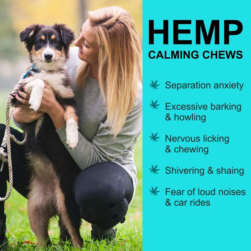 Calming Chews for Dogs with Anxiety and Stress - 60 Soft Dog Calming Treats - Storms, Barking, Separation - Valerian Root - Melatonin, Dog Anxiety Relief (Peking Duck) Peking Duck