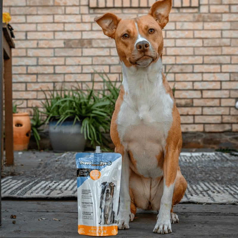 DoggyRade Pro Isotonic Drink for Dogs Recovery Rehydration & Intestinal Support 500ml
